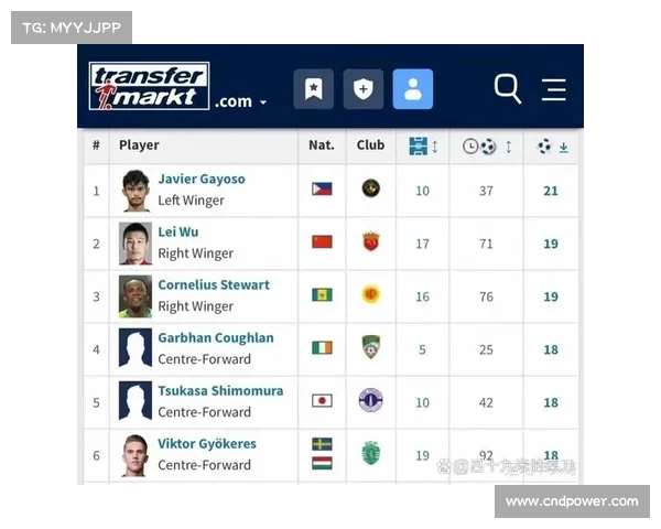 足球赛事重要排名深度解析全球联赛积分榜变化与冠军争夺趋势