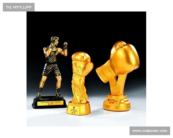 顶级拳击赛事冠军奖金—全球顶尖拳王争霸赛震撼启幕见证拳击巅峰对决王者之战